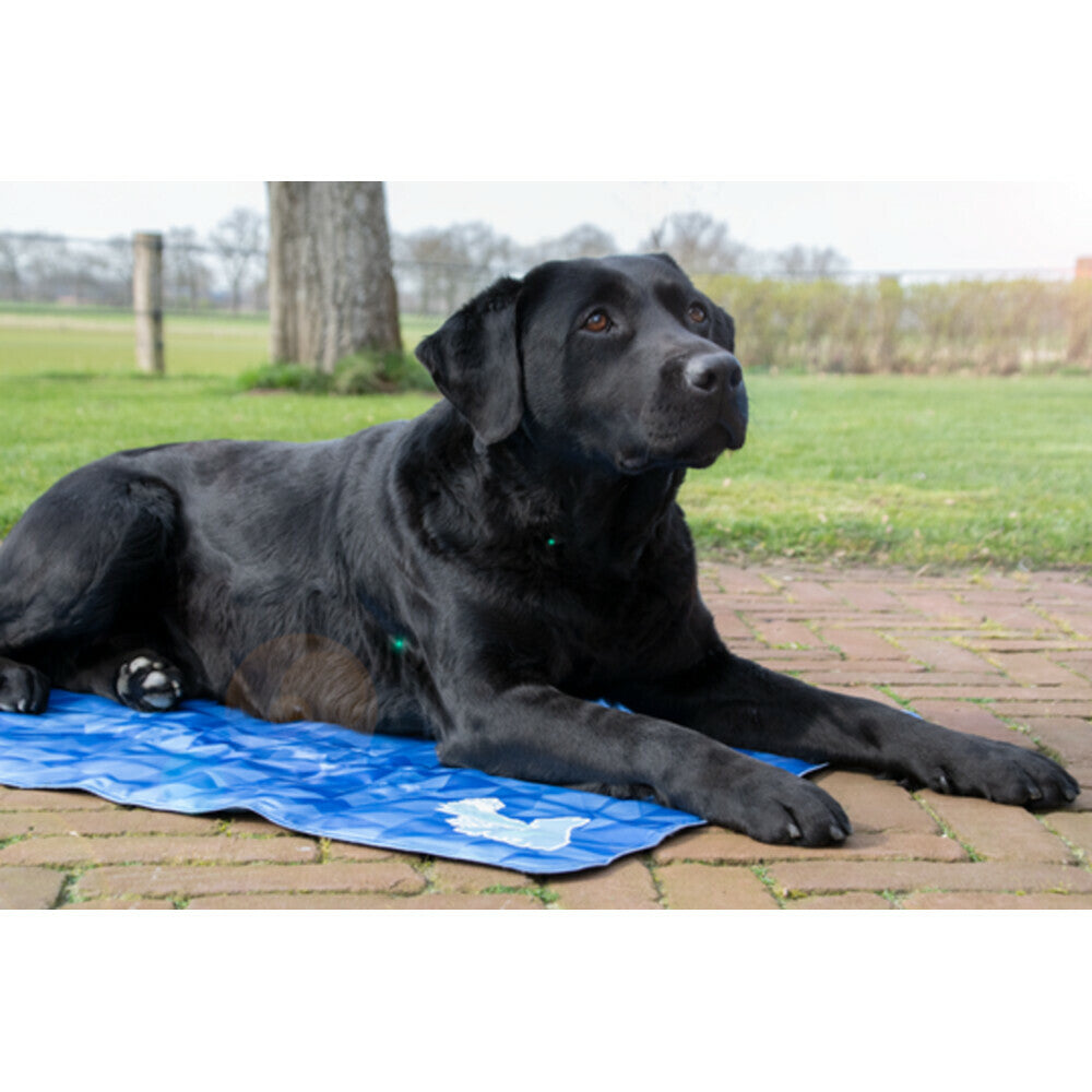  Coolpets Premium Koelmat M