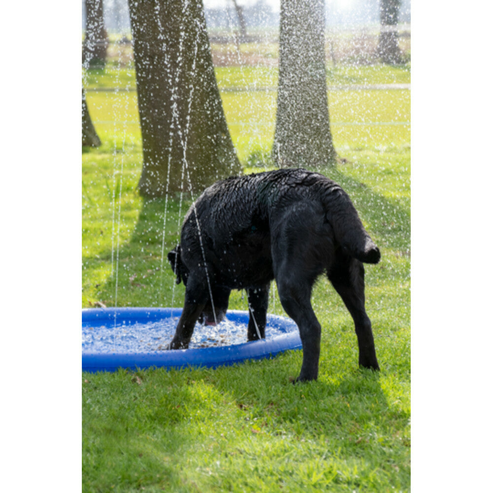  Coolpets Splash Pool Sproeier