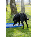  Coolpets Splash Pool Sproeier