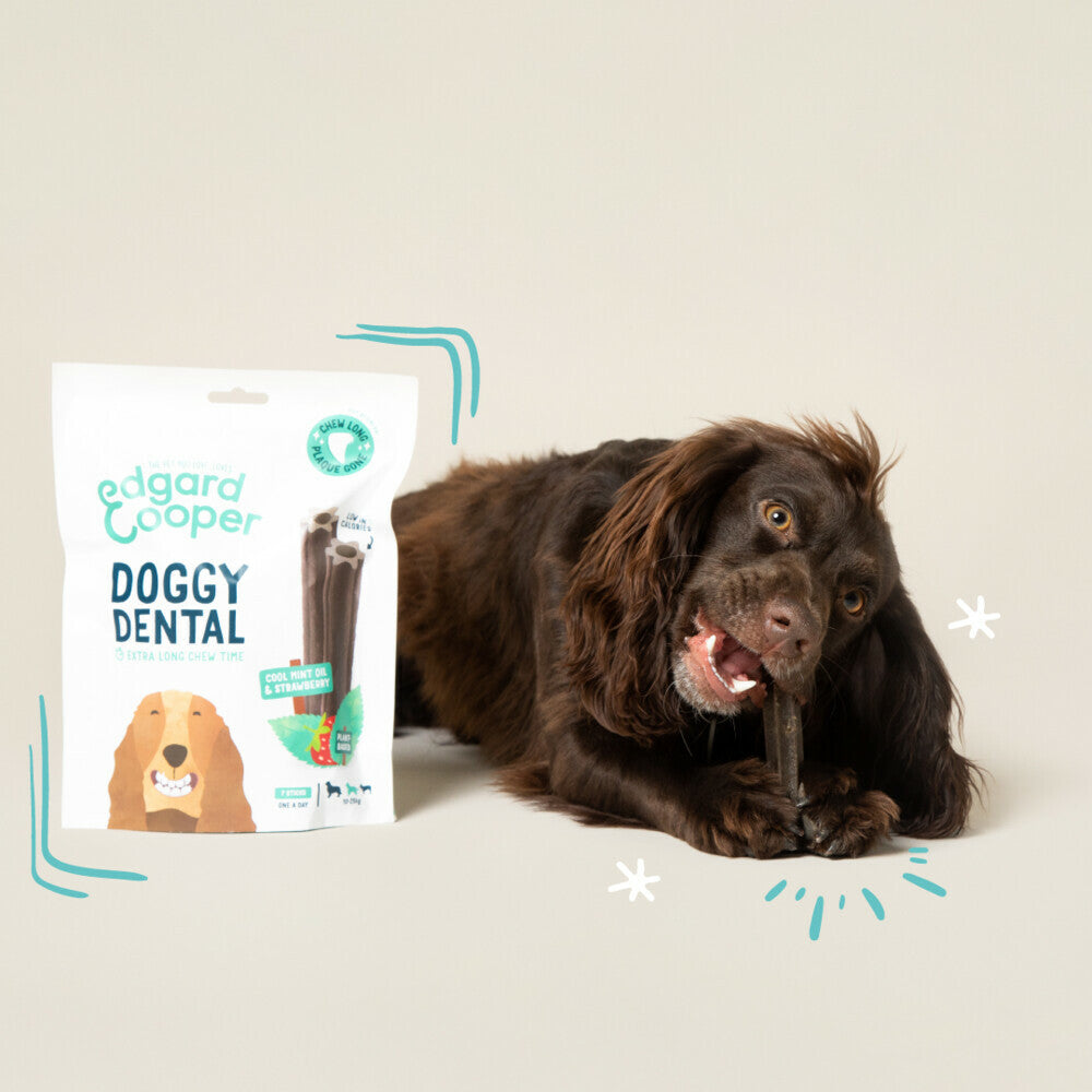  4x Edgard & Cooper Doggy Dental Sticks Aardbei - Frisse Muntolie