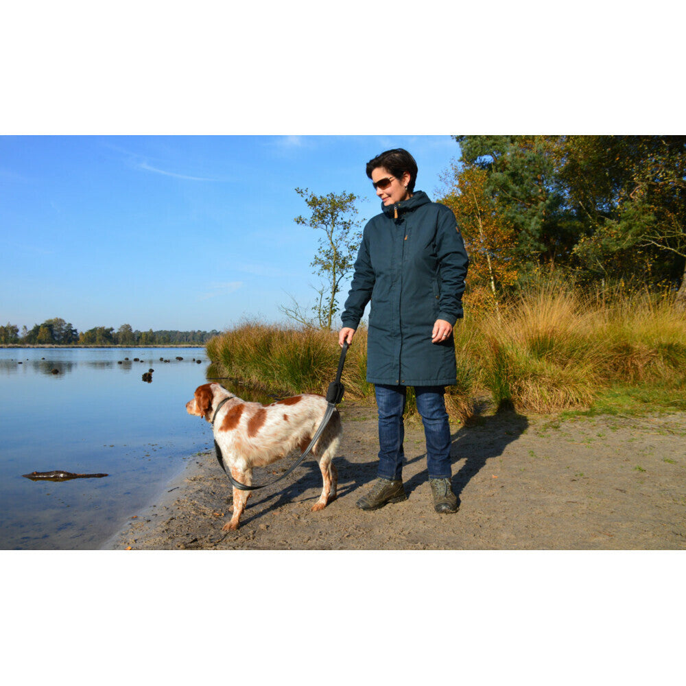  Trailstone Dog Leash