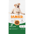  Iams Dog Adult Large Lam