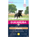  Eukanuba Dog Developing Junior Large