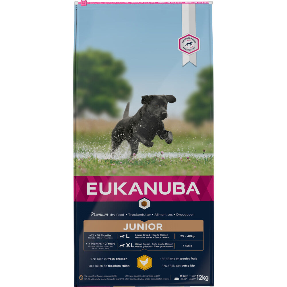  Eukanuba Dog Developing Junior Large