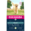  Eukanuba Dog Adult Large Lam - Rijst