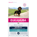  Eukanuba Dog Adult Dachshund - Teckel