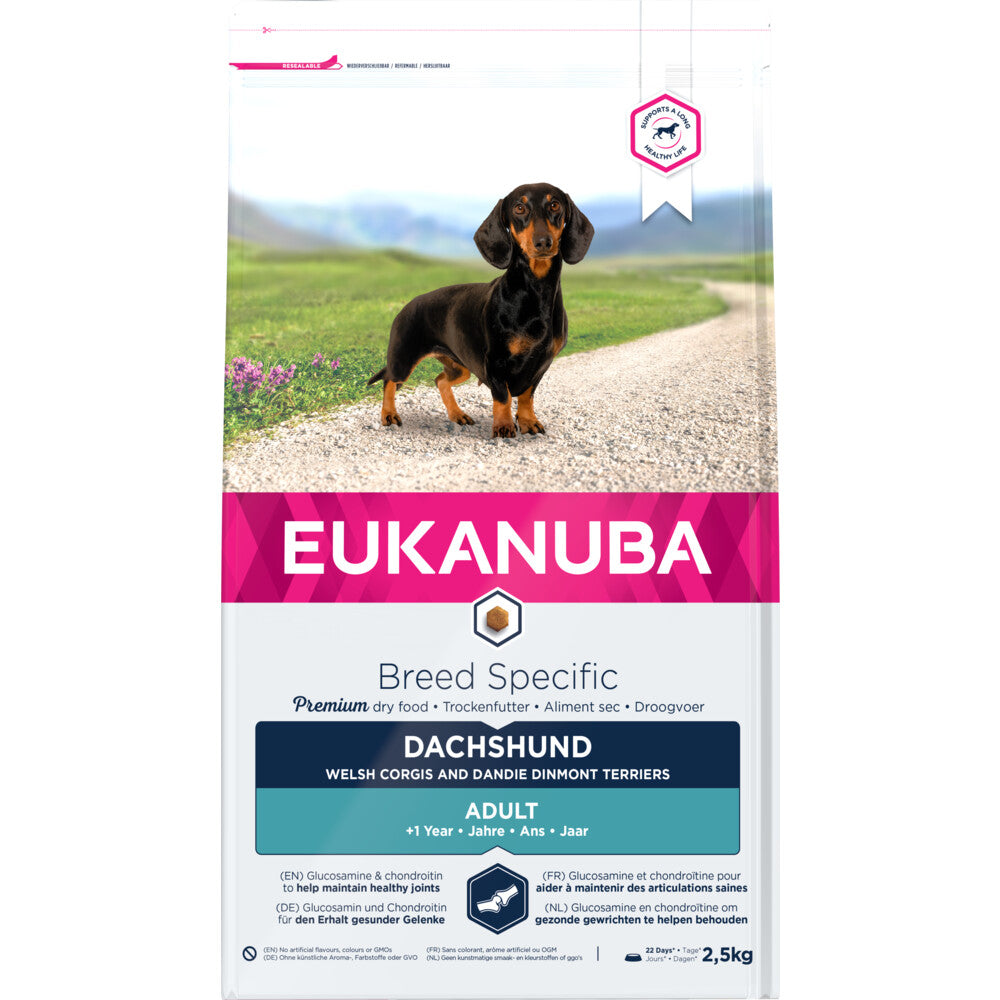  Eukanuba Dog Adult Dachshund - Teckel