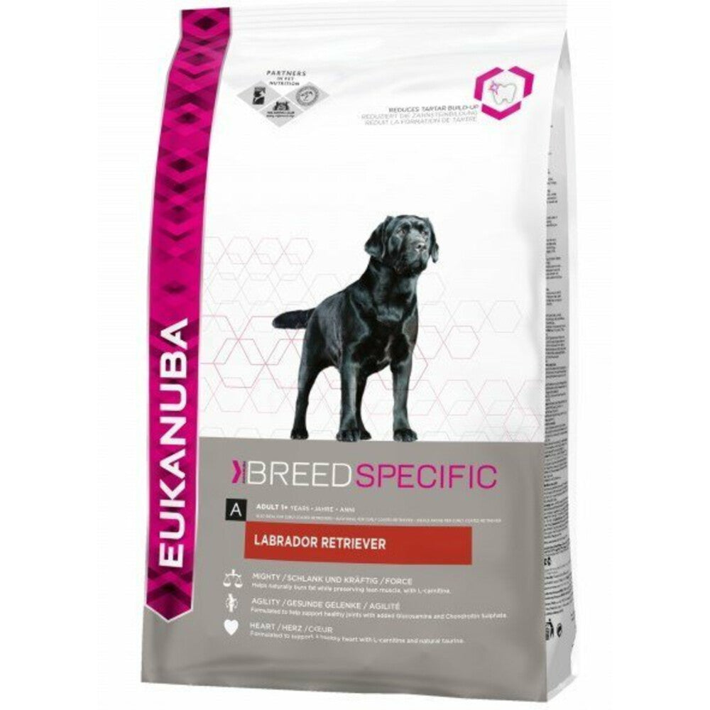  Eukanuba Dog Adult Labrador Retriever Kip