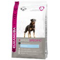  Eukanuba Dog Adult Rottweiler Kip