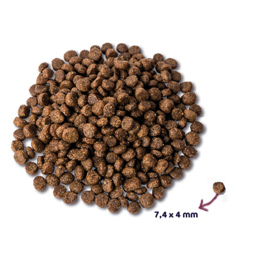  8x Renske Super Premium Hondenvoer Mini Kip - Lam