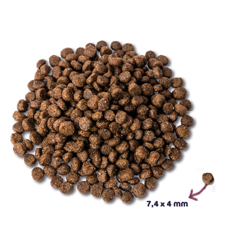  8x Renske Super Premium Hondenvoer Mini Kip - Lam