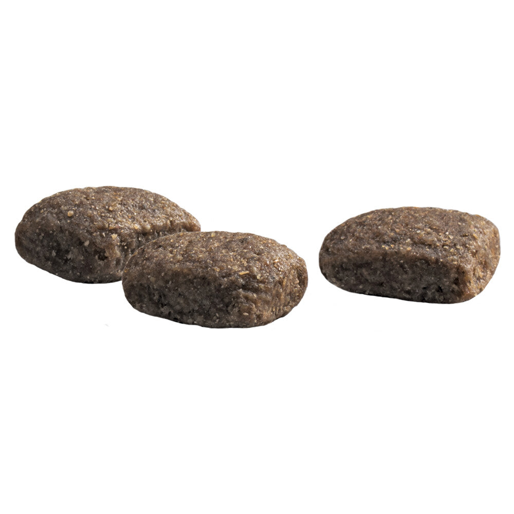 Prins Protection Croque Basic Excellent Hondenvoer