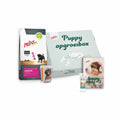  Prins Opgroeibox Protection Croque Mini Junior