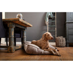  Designed By Lotte Ligkussen Fluweel Nalino Grijs