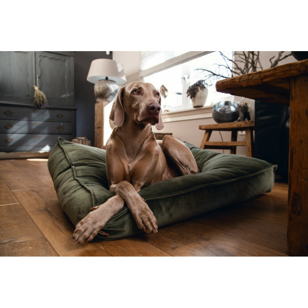  Designed By Lotte Ligkussen Fluweel Nalino Groen