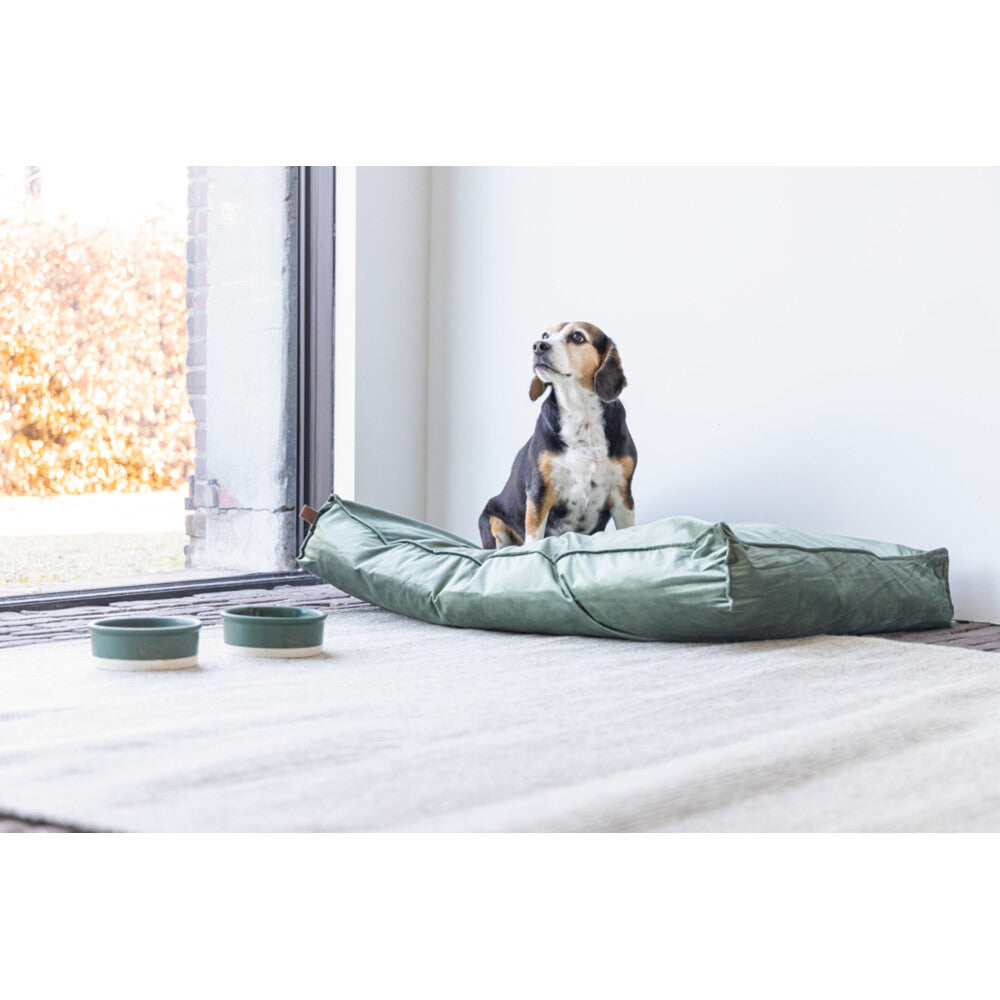  Designed By Lotte Ligkussen Fluweel Nalino Groen