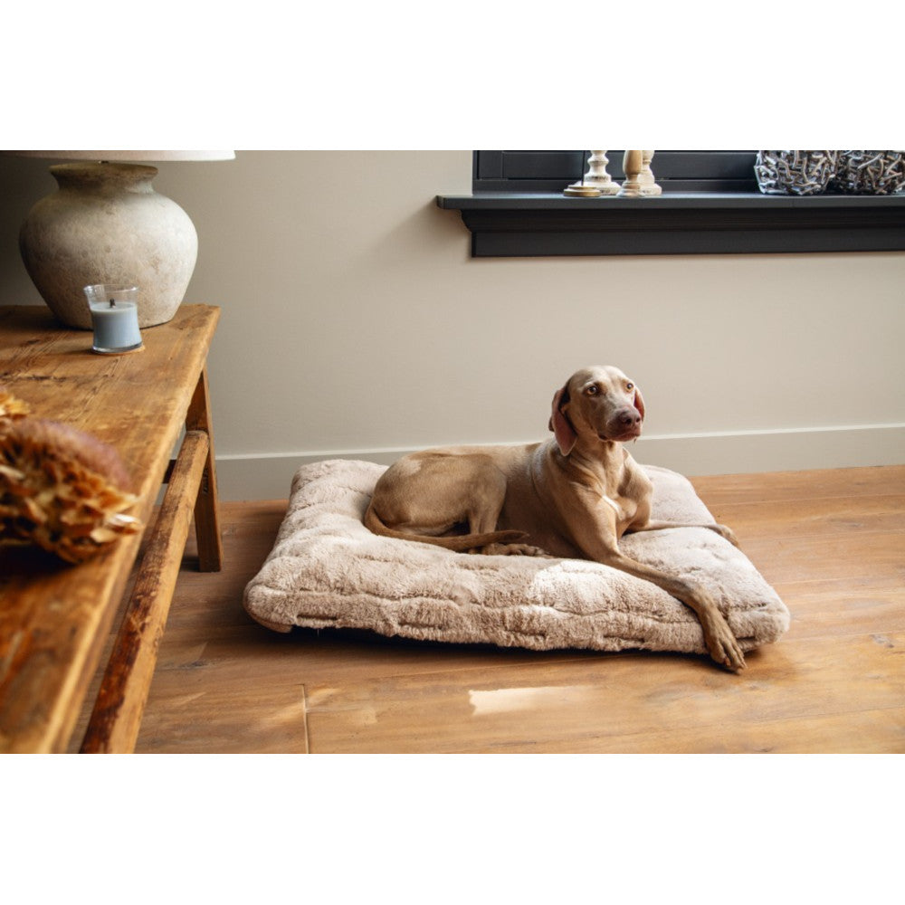  Designed By Lotte Hondenkussen Pluche Xanti Beige