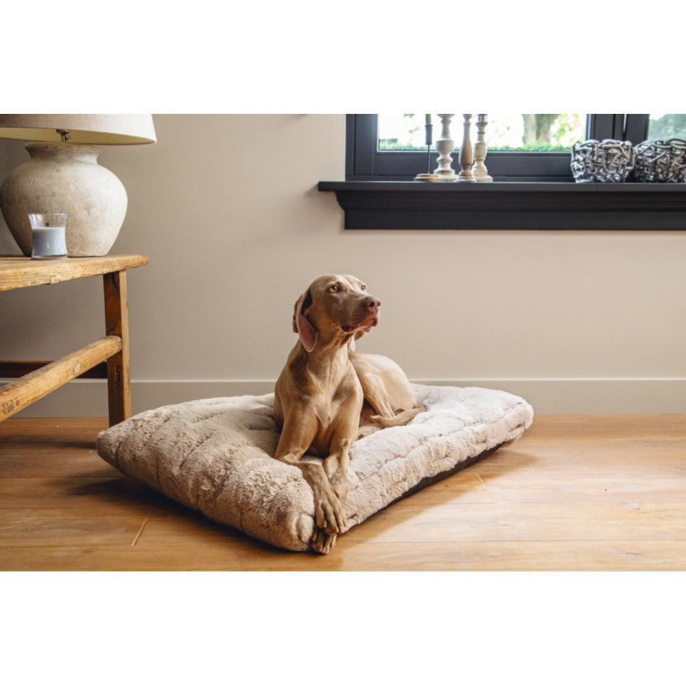  Designed By Lotte Hondenkussen Pluche Xanti Beige