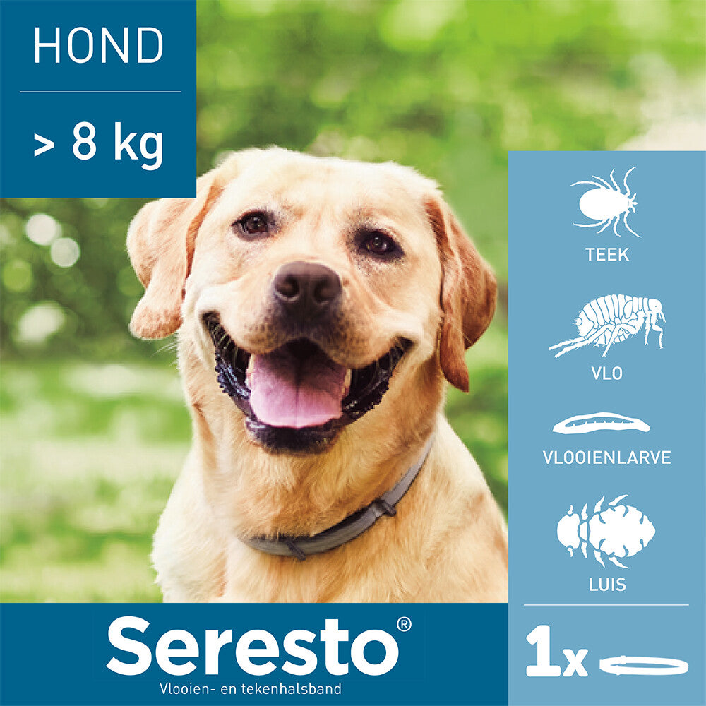  Seresto Anti Teken En Vlooien Halsband Hond Vanaf 8 Kg
