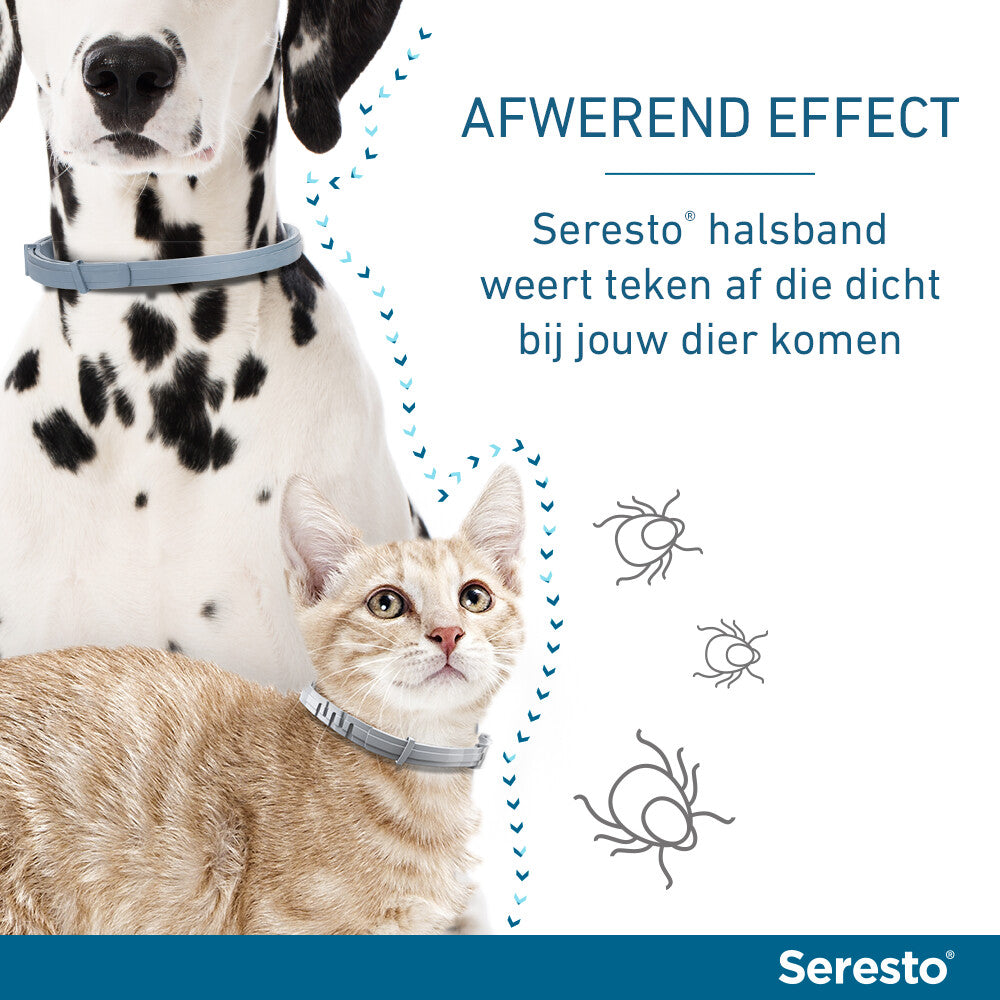  Seresto Anti Teken En Vlooien Halsband Hond Vanaf 8 Kg