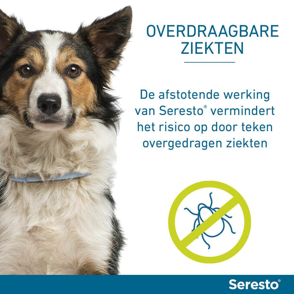  Seresto Anti Teken En Vlooien Halsband Hond Tot 8 Kg