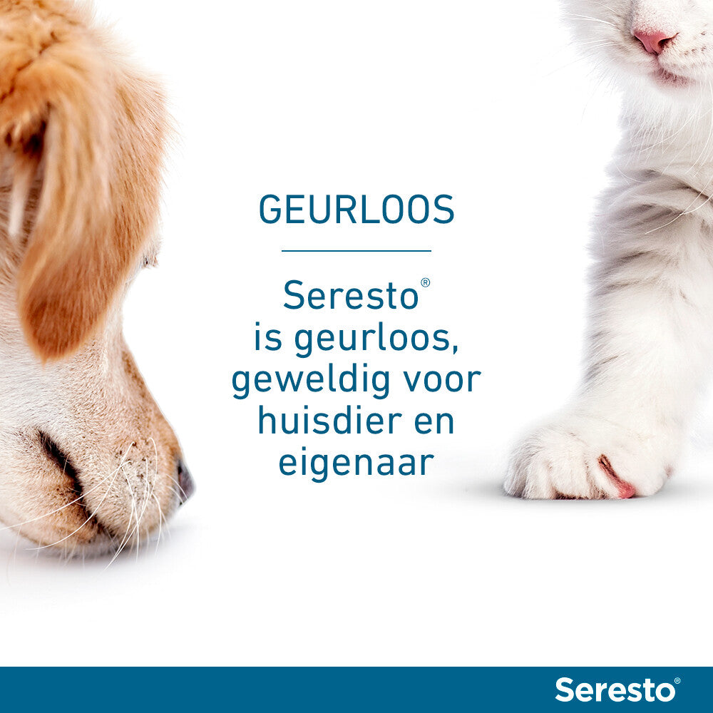  Seresto Anti Teken En Vlooien Halsband Hond Tot 8 Kg