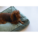  Designed By Lotte Ligkussen Nalino Hond Groen