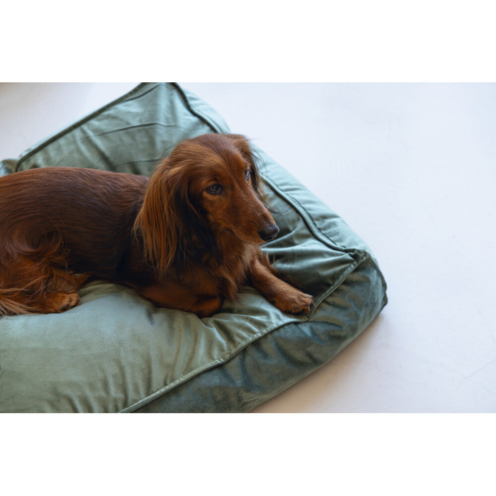  Designed By Lotte Ligkussen Nalino Hond Groen