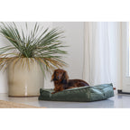  Designed By Lotte Ligkussen Nalino Hond Groen