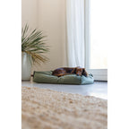  Designed By Lotte Ligkussen Nalino Hond Groen