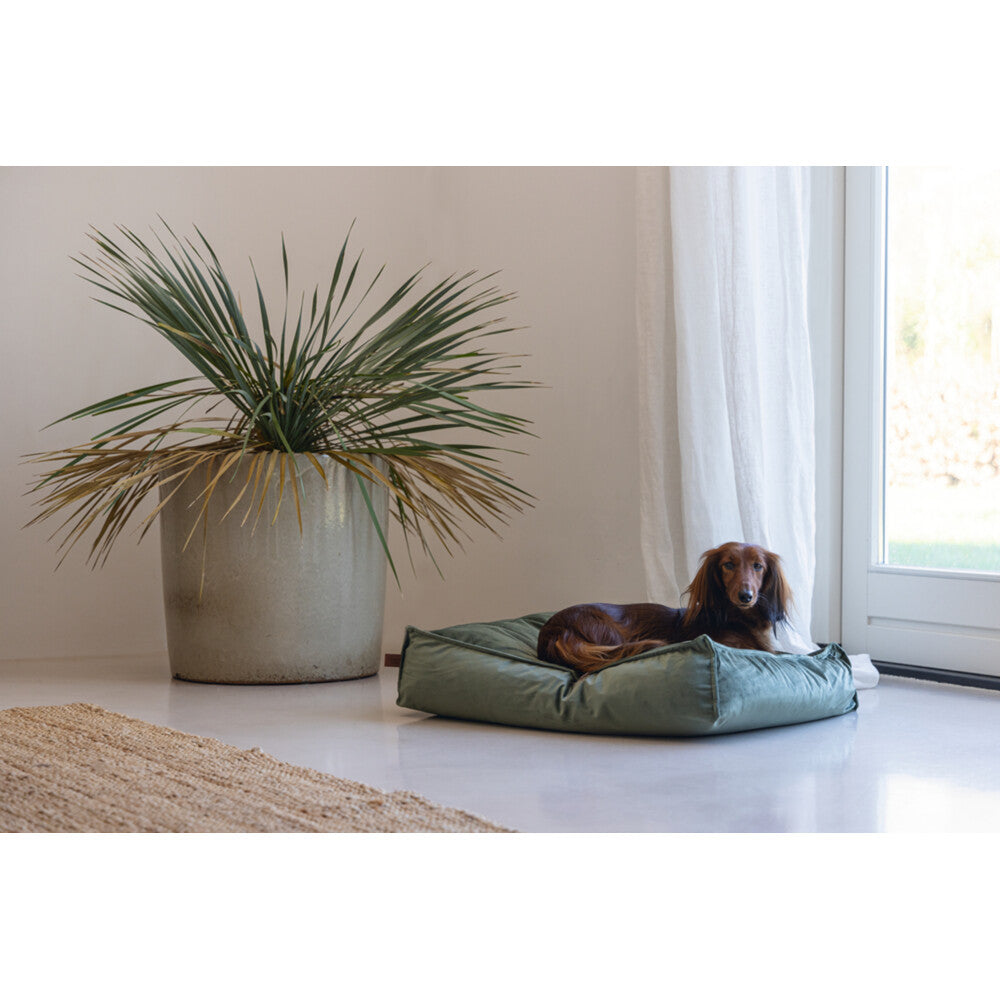  Designed By Lotte Ligkussen Nalino Hond Groen