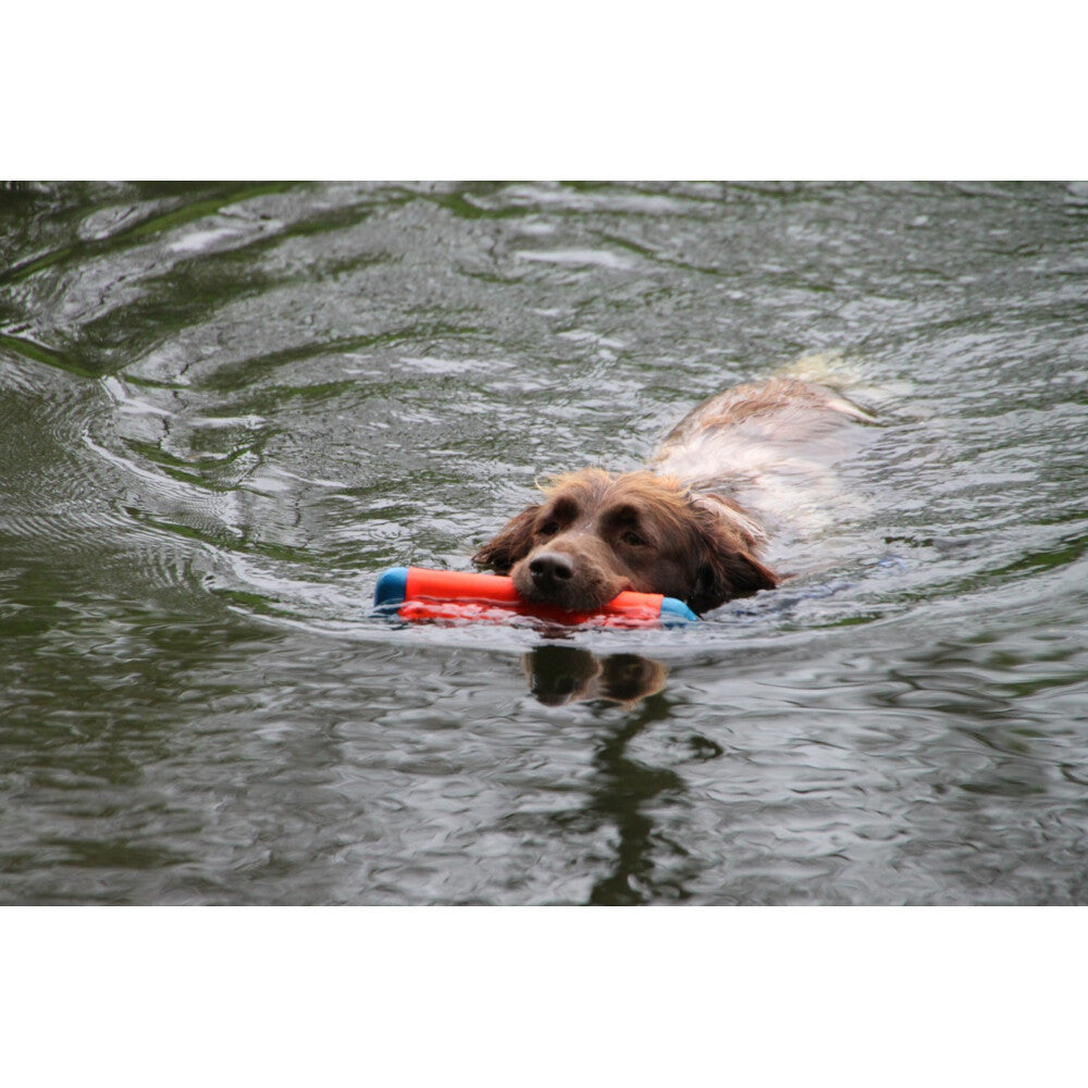 Chuckit! Chuckit Amphibious Bumper Medium