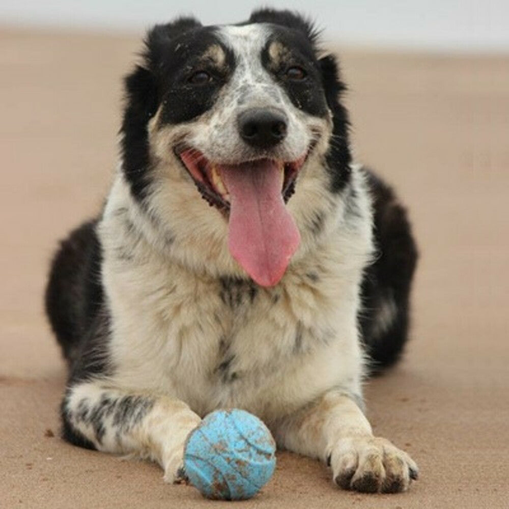 Chuckit! Chuckit Fetch Medley Small