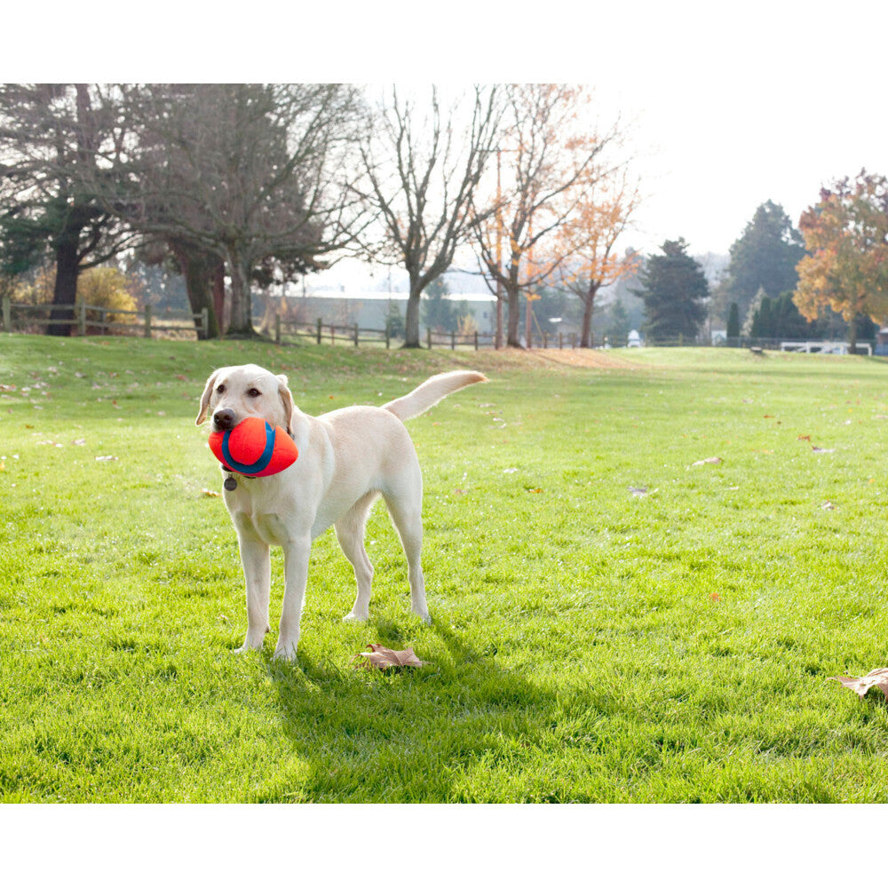 Chuckit! Chuckit Fumble Fetch Small
