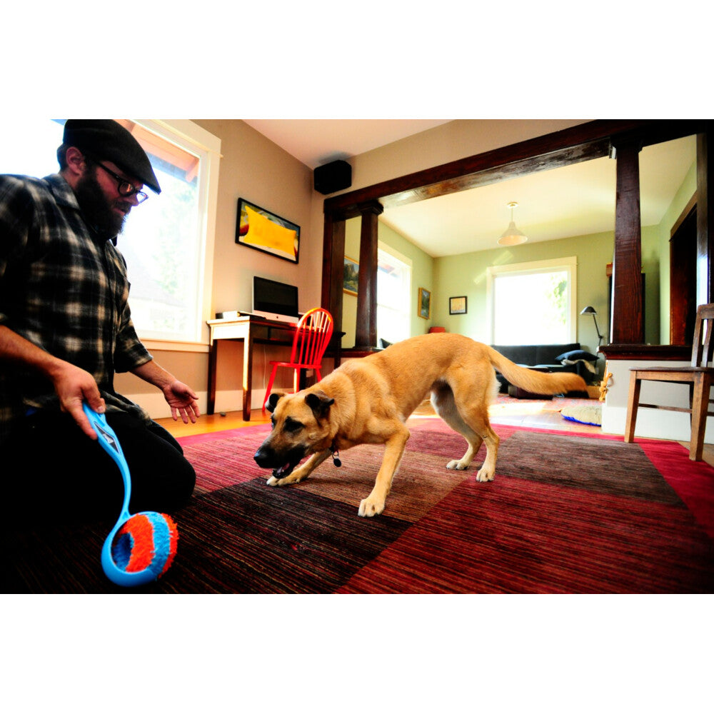 Chuckit! Chuckit Indoor Roller