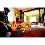 Chuckit! Chuckit Indoor Roller
