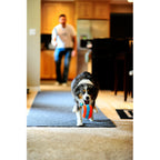 Chuckit! Chuckit Indoor Roller