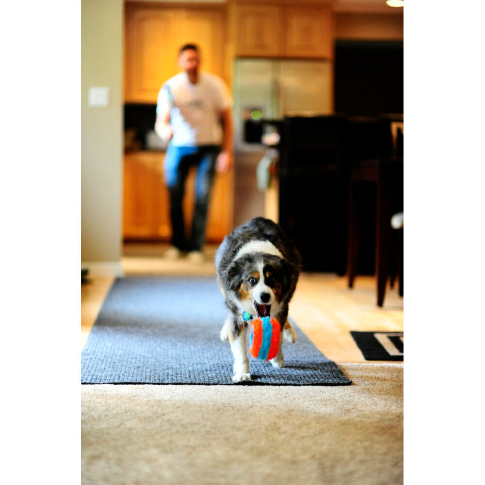 Chuckit! Chuckit Indoor Roller