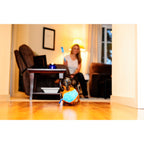 Chuckit! Chuckit Indoor Shaker