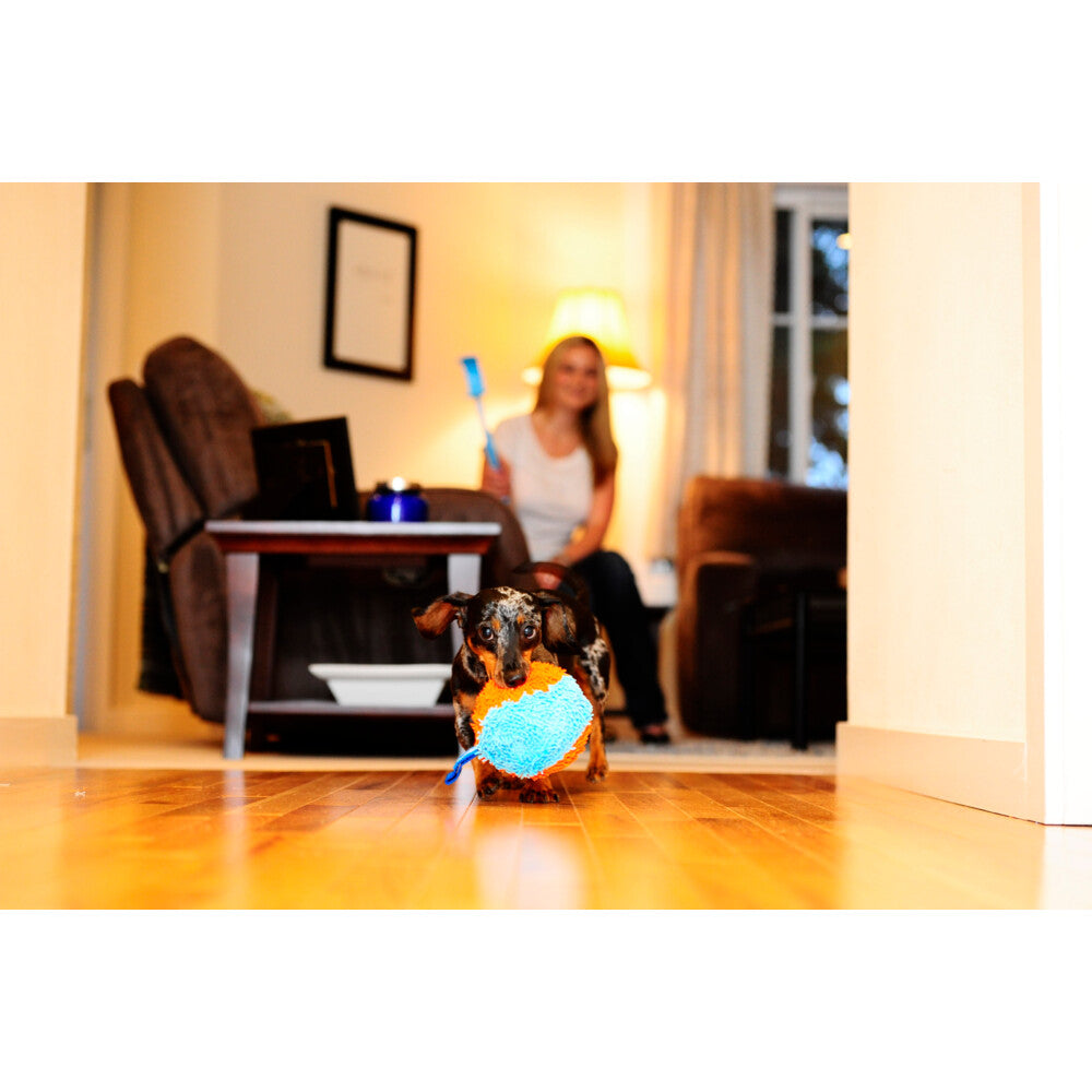 Chuckit! Chuckit Indoor Shaker