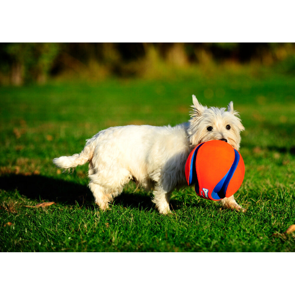 Chuckit! Chuckit Kick Fetch Small