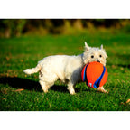 Chuckit! Chuckit Kick Fetch Small