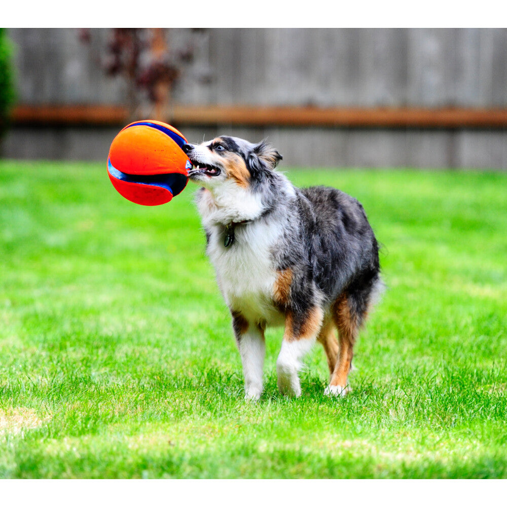 Chuckit! Chuckit Kick Fetch Small