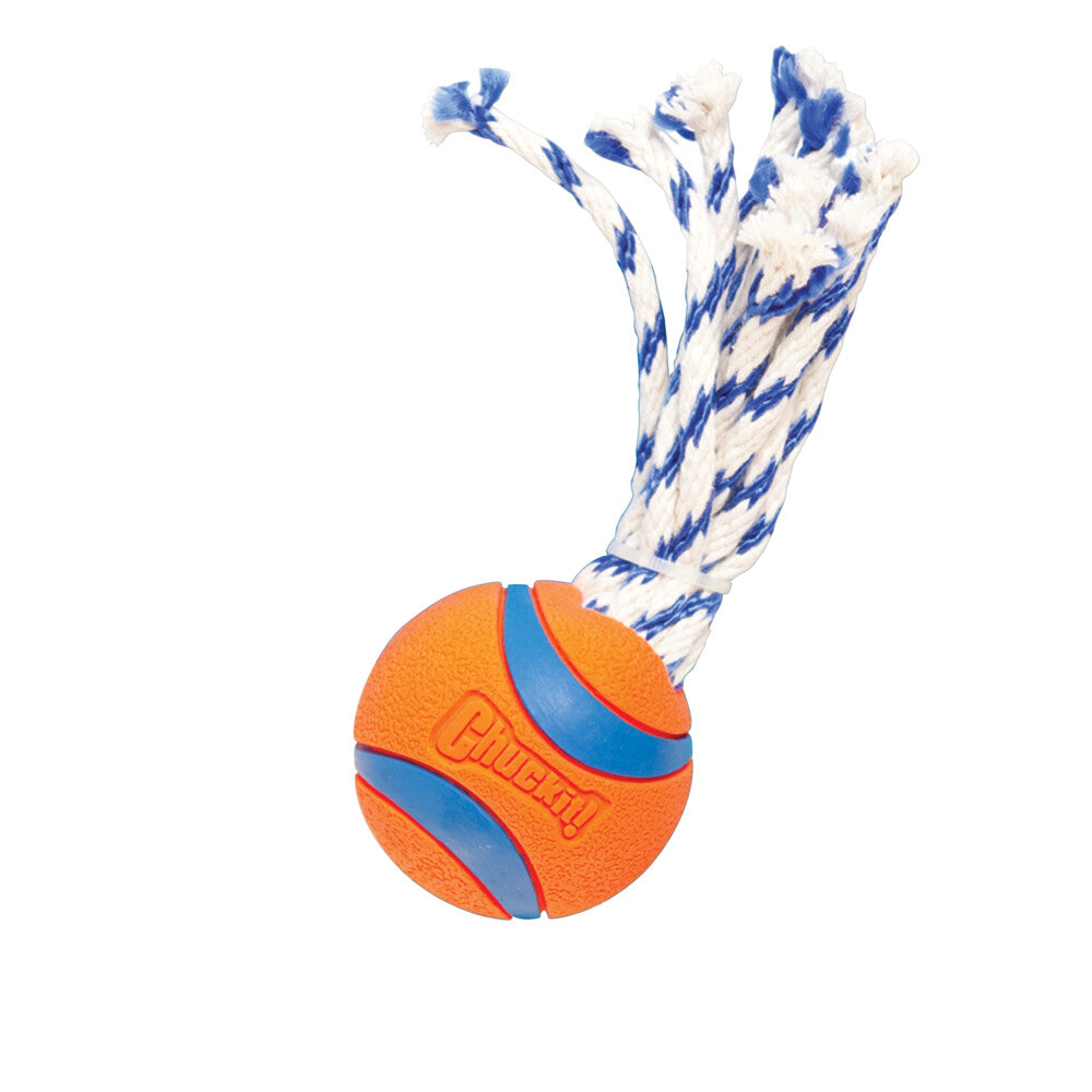 Chuckit! Chuckit Ultra Toss Medium