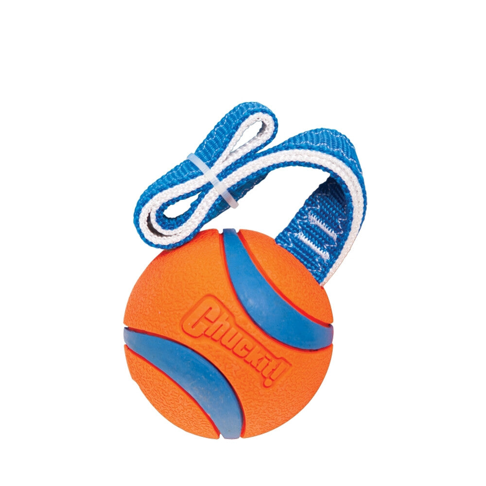 Chuckit! Chuckit Ultra Tug Large