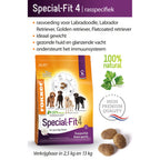  3x Fokker Dog Special-Fit 4