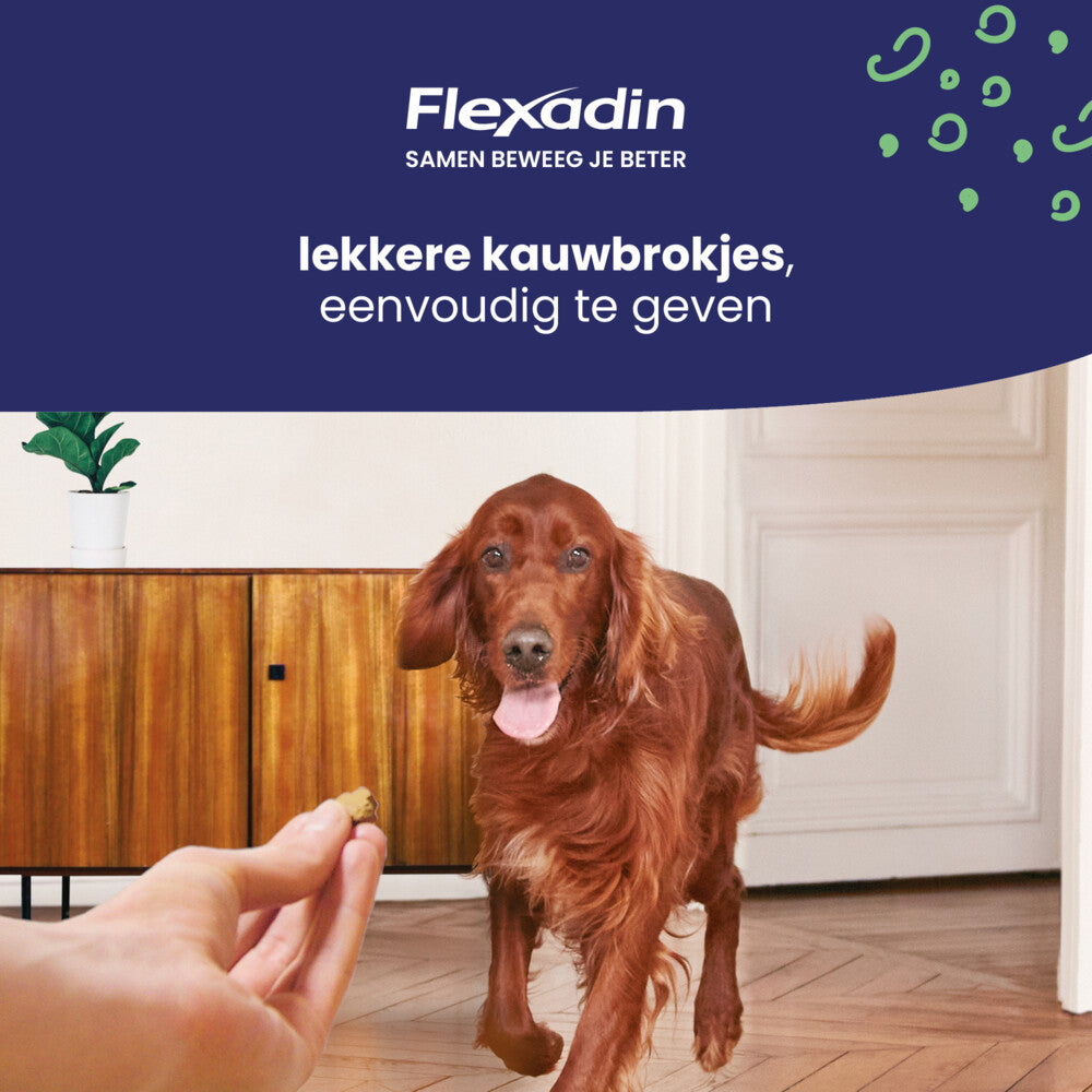  Flexadin Adult Dog Kauwbrokjes