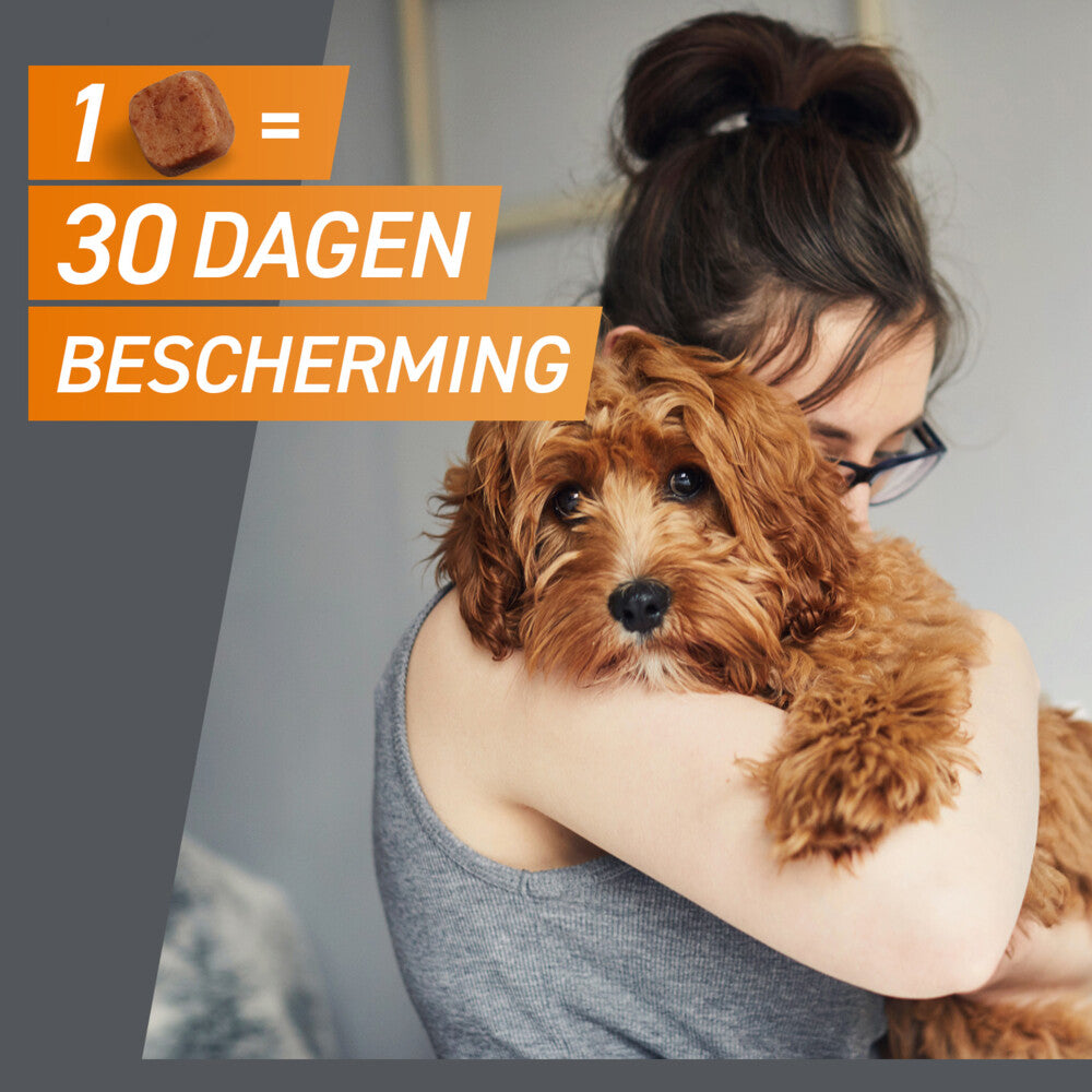  Frontpro Hond M 4-10 Kg