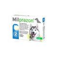  Milprazon Hond Groot