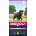  Eukanuba Dog Senior Large Chicken